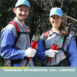 Electric pruner and electric pruning shear